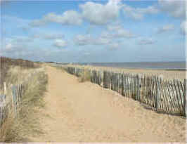 Skegness coast dunes